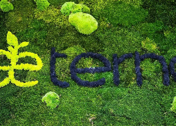 Guest house Aeterno Eco 4*